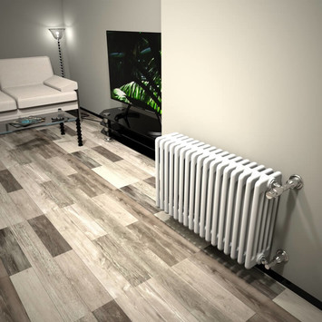  - DL 5 Radiateur à Colonne 500x808 Blanc