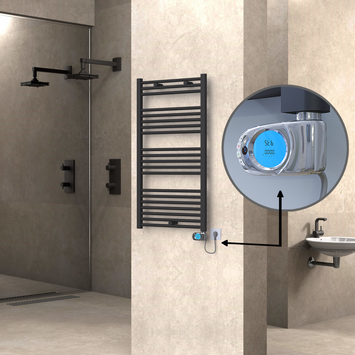 Radiva - Haiti Sèche Serviettes Electrique 600x1100 Anthracite (Thermostat Musa) 600 Watt