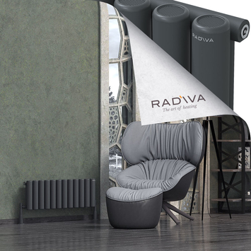 Radiva - Mati Radiateur En Aluminium 300x884 Anthracite Foncé