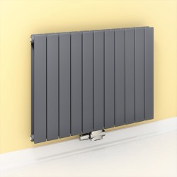 Type 20V Radiateur Décoratif 600x810 Anthracite - Thumbnail