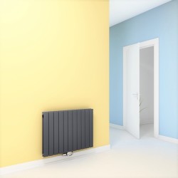 Type 20V Radiateur Décoratif 600x810 Anthracite - Thumbnail